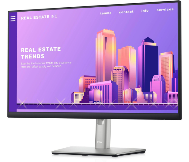 DELL 23.8'' P2422H, Srebrny (210-AZYX/5Y) - 1060455 - zdjęcie 2